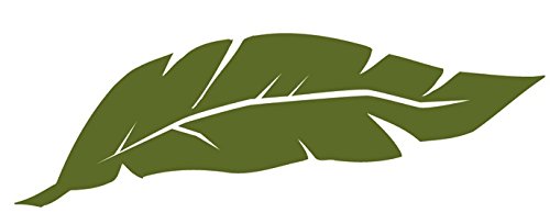 5 pcs Tropical Palm Tree Leaf Leaves Palms Fronds Island Beach Ocean Sea Removable Peel Self Stick Adhesive Vinyl Decorative Wall Decal Sticker Art Room Home Decor
