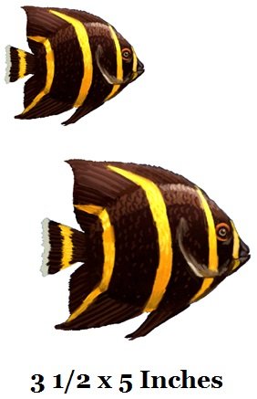 3 PCS French Angelfish Angel Tropical Fish Sea Beach Tropical Island Ocean Removable Peel Self Stick Adhesive Vinyl Decorative Wall Decal Sticker Art Room Home Decor 5x4 inches Tall