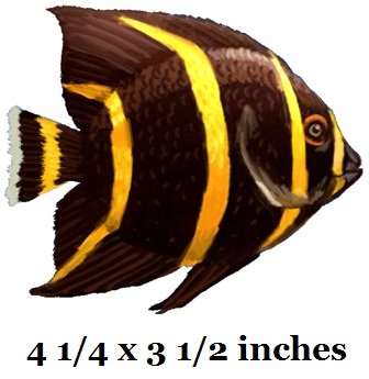 3 PCS French Angelfish Angel Tropical Fish Sea Beach Tropical Island Ocean Removable Peel Self Stick Adhesive Vinyl Decorative Wall Decal Sticker Art Room Home Decor 5x4 inches Tall