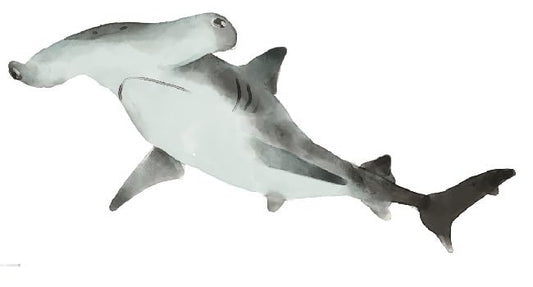 Generic 17"" Hammerhead Shark Wall Decal Hammer Head Peel and Stick Vinyl Sticker Ocean Fish Room Decoration Removable Home Decor Self Adhesive Art 17 x 7 Inches