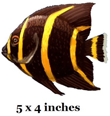 3 PCS French Angelfish Angel Tropical Fish Sea Beach Tropical Island Ocean Removable Peel Self Stick Adhesive Vinyl Decorative Wall Decal Sticker Art Room Home Decor 5x4 inches Tall