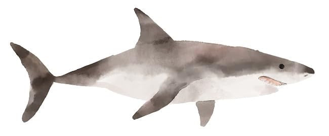 Generic 17"" Great White Shark Wall Decal Jaws Peel and Stick Vinyl Sticker Ocean Fish Room Decoration Removable Home Decor Self Adhesive Art 17 x 6 Inches