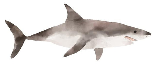 Generic 17"" Great White Shark Wall Decal Jaws Peel and Stick Vinyl Sticker Ocean Fish Room Decoration Removable Home Decor Self Adhesive Art 17 x 6 Inches