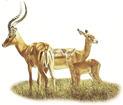 9 Inch Impala Antelope Gazelle Jungle Animals African Safari Africa Removable Peel Self Stick Adhesive Vinyl Decorative Wall Decal Sticker Art Kids Room Home Decor Girl Boy Children 9x8 inch Tall