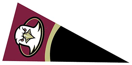 10 Inch BC Golden Eagle Logo Pennant Decal Flag Boston College Eagles Removable Wall Sticker Art Home Room Decor 10 by 5 Inches