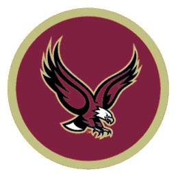 3 Inch BC Golden Eagle Logo Decal Boston College Eagles Removable Wall Sticker Art NCAA Home Room Decor 3 by 3 Inches