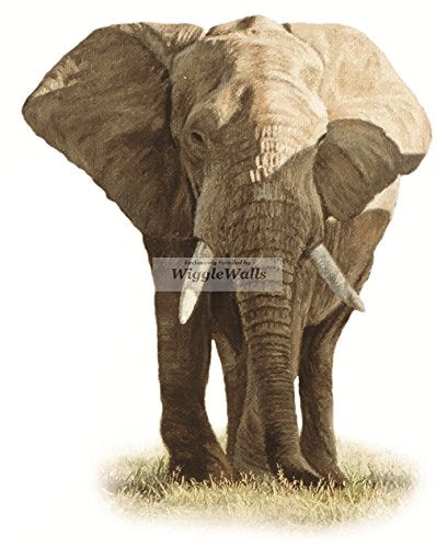 8 Inch Elephant Jungle Animals African Safari Africa Removable Peel Self Stick Adhesive Vinyl Decorative Wall Decal Sticker Art Kids Room Home Decor Girl Boy Children 6x8 inch Tall