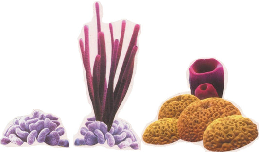 3 PCS Tropical Coral Reef Decal Fish Sea Beach Island Ocean Aquarium Removable Peel Self Stick Adhesive Vinyl Decoration Wall Decal Sticker Art Room Home Decor 4x3 Inch