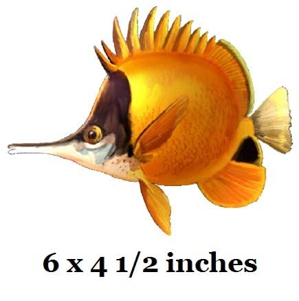 3 PCS Yellow Longnose Long Nosed Angelfish Angel Tropical Fish Sea Beach Tropical Island Ocean Removable Peel Self Stick Adhesive Vinyl Decorative Wall Decal Sticker Art Room Home Decor 7x5 inch