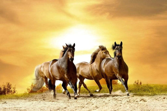 Dimex MS-5-0227 Horses in Sunset Wall Mural, Neutral