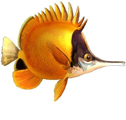 3 PCS Yellow Longnose Long Nosed Angelfish Angel Tropical Fish Sea Beach Tropical Island Ocean Removable Peel Self Stick Adhesive Vinyl Decorative Wall Decal Sticker Art Room Home Decor 7x5 inch