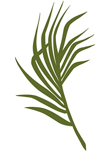 5 pcs Tropical Palm Tree Leaf Leaves Palms Fronds Island Beach Ocean Sea Removable Peel Self Stick Adhesive Vinyl Decorative Wall Decal Sticker Art Room Home Decor