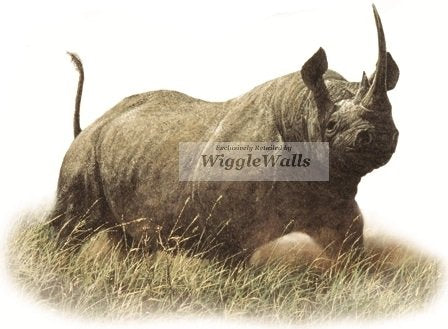 6 Inch Black Rhino Rhinoceros Jungle Animals African Safari Africa Removable Peel Self Stick Adhesive Vinyl Decorative Wall Decal Sticker Art Kids Room Home Decor Girl Boy Children 6x4 inch Tall