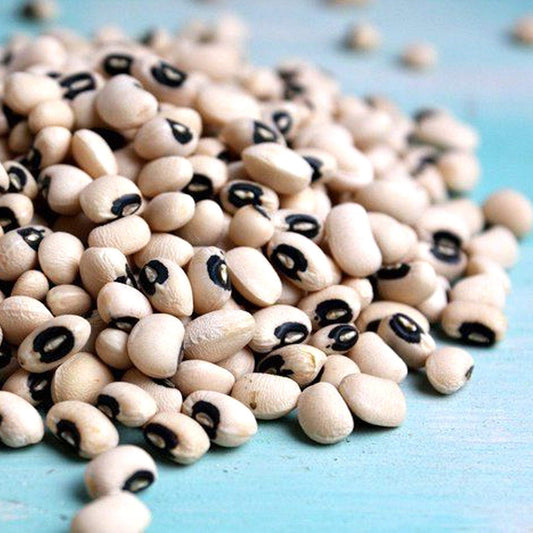 California Blackeye Pea 46 Southern Pea Cowpeas Seed 25 Count