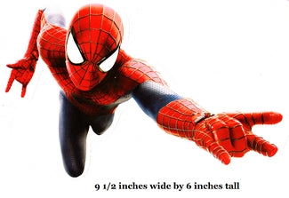 Right Web Sling