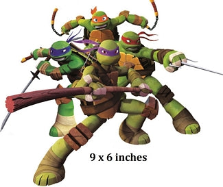  teenage mutant turtles with accessories on a white background