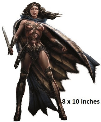 Illustration of a warrior character with a cape and sword, 8 x 10 inches