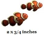 4 PCS Clownfish School Clown Fish Finding Nemo Removable Peel Self Stick Wall Decal Sticker Art Bathroom Kids Room Disney Pixar Home Decor