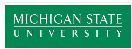 7 Inch Decal MSU Green Spartans Logo Removable Wall Sticker Art NCAA Home Room Decor 7 by 2 Inches