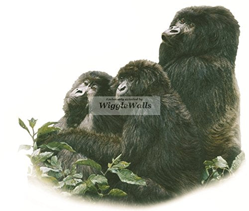 6 Inch Gorilla Ape Gorillas Jungle Animals African Safari Africa Removable Peel Self Stick Adhesive Vinyl Decorative Wall Decal Sticker Art Kids Room Home Decor Girl Boy Children 6x5 inch Tall