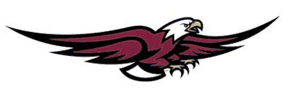 5 Inch BC Golden Eagle Logo Decal Boston College Eagles Removable Wall Sticker Art NCAA Home Room Decor 5 by 1 Inches