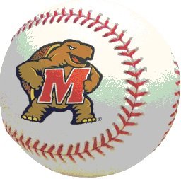 3 Inch University of Maryland Baseball Terps UM Terrapins Logo Removable Wall Decal Sticker Art NCAA Home Room Decor 3 1/2 Inches